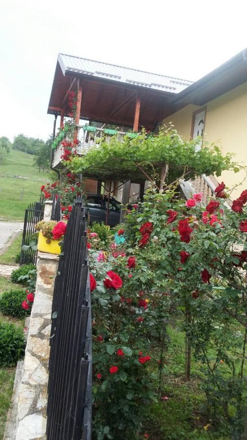 Appartamento Apartman" Ruza" Višegrad Esterno foto